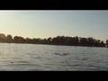 videos de kenny ray deep water start