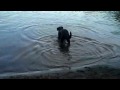 videos de The Ball and The Lake  Starring Nico