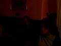 videos de Leon 1