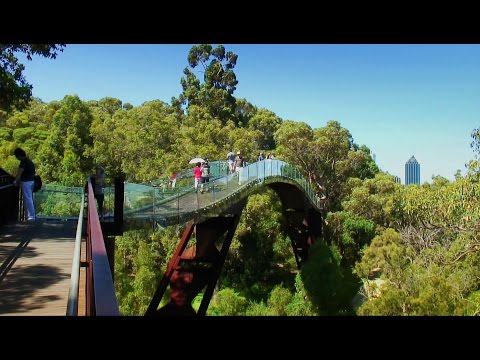 Kings Park, Perth