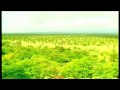 IFAW's Jason Bell-Leask on the Upcoming Malawi Elephant Translocation