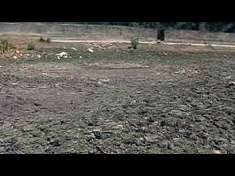 drought - Palakkad, the rice bowl of Kerala, is scorched by severe drought. This cracked land is actually the bed of a check dam - once a critical source of water for ...