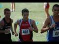 Ohio State Men's Cross Country All-Ohio