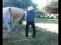 el bailador