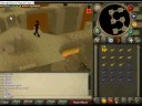 Popular agility courses on runescape.