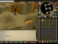 Popular agility courses on runescape.