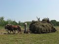 Hay loader