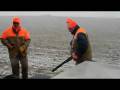 videos de Driving SD wind while pheasant hunting
