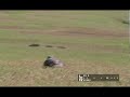 Wild Pig hunts - Bow hunt 2009