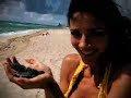 sexy-sea-turtle-defenders-defensores-sexi-de-la-tortuga.html