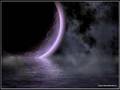 Vivere
