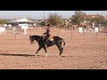 Codi NMSU vs USC Horsemanship