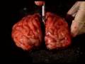 Smoke-Free Bayview Ad [Brains]
