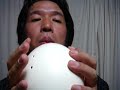 Ostrich Egg Ocarina : March of bee