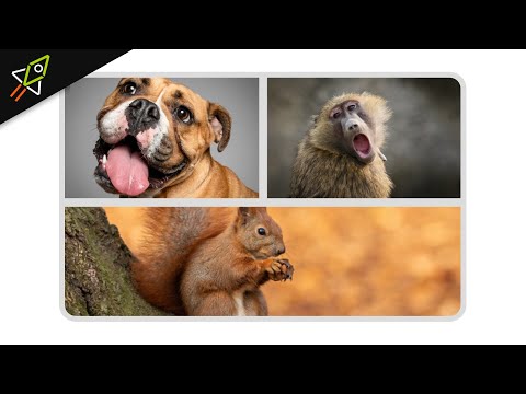 Tutorial bei Youtube