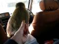 Monkey Eats Pretzel