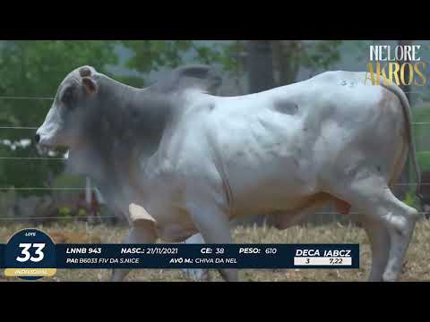 4� DE OLHO DA FAZENDA NELORE AKROS