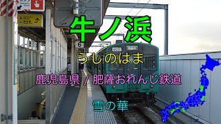 第54作 雪の華