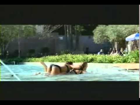 Miller Lite Cat Fight