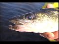 Midwest Outdoors 1171 Tamarac Walleye 08 Ted Takasaki