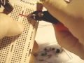 Montaje de un circuito electrónico en una placa de pruebas Protoboard