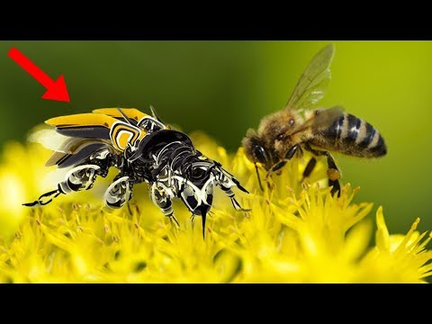 10 Ways Nature BEATS Us In Technology!