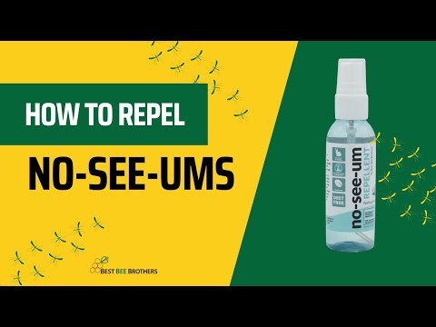 image preview of video showcasing How to Repel No-See-Ums