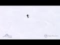 2009 VOLKL GOTAMA SKI REVIEW