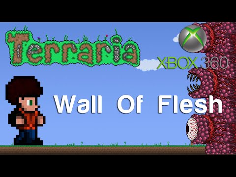 how to beat wall of flesh