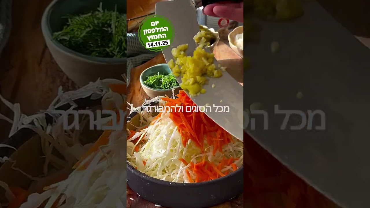 יום המלפפון החמוץ מתקרב (14.11!) וזה בדיוק הזמן למנה רעננה, קראנצ’ית וממכרת!קולסלאו כרוב וחמוצים
