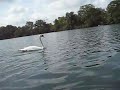 kayaking pt 1