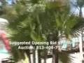 Tampa Home For Sale at Auction