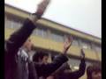 videos de GELIMINI VAFFANCULO