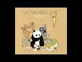 This Town Needs Guns - Baboon