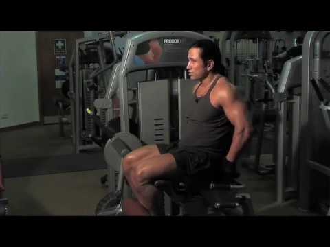 how to define leg muscles