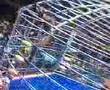 Assistir ao v�deo