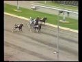 Åby Stora Pris 1983 - Legolas / Thomas Nilsson