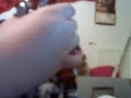 webcam,video,casimusxprime