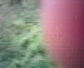Softair Location Wald Wulfen