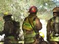 Hillsborough County Fire Rescue Live Fire Training Burn