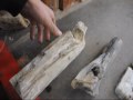 Objects we found