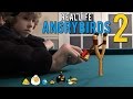 Angry Birds In Real Life