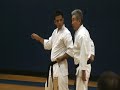 Traditional Karate Masters Series 5