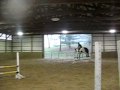 Will Coleman Clinic- Julie and Pippin jumping