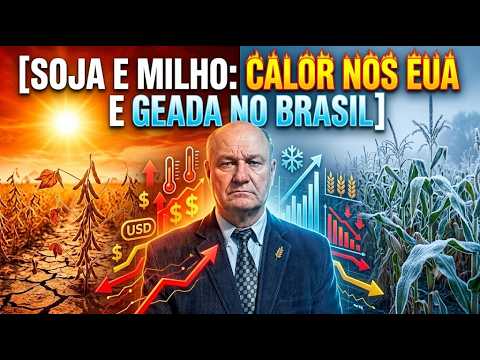 Soja e milho: calor nos EUA e geada no Brasil; os rumos dos grãos pelo mundo.