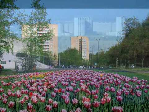 Zelenograd