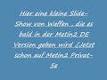 Metin2 Waffen Show (88 +90+GM).wmv