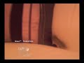 Ball Plug - Chinese Dwarf Hamsters Balls Get Stuck In Couch
