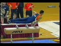Daniel Ribeiro Pommel Horse check it out