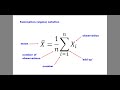SBBI209 Exaplanation of summation notation (second)